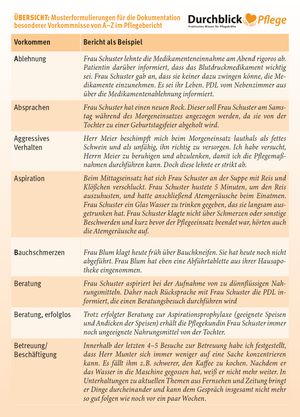 Spickzettel für den Pflegebericht